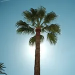 La - - Face à La - Climatisation * Menton