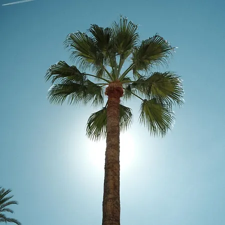 La - - Face à La - Clim Terrasse * Mentone